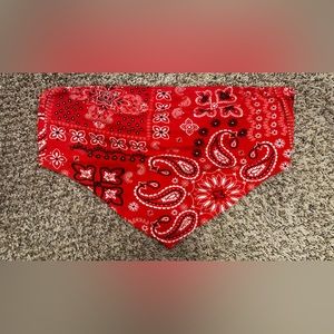 Bandana Crop Top